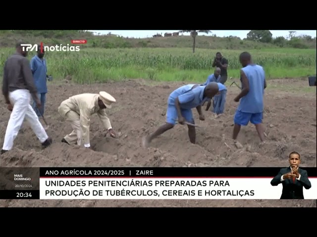 Ano agricola 2024/2025 - Unidades penitenciárias preparadas para produção de tubérculos, cereais