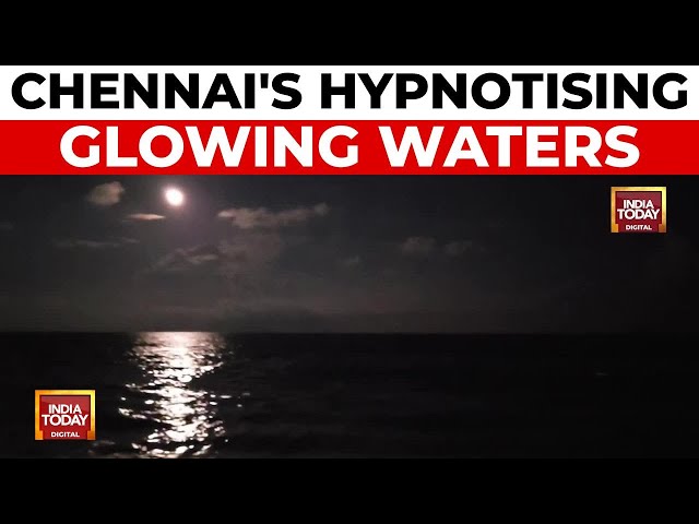 ⁣Chennai's Glowing Waters: Bioluminescent Phenomenon Mesmerises | India Today