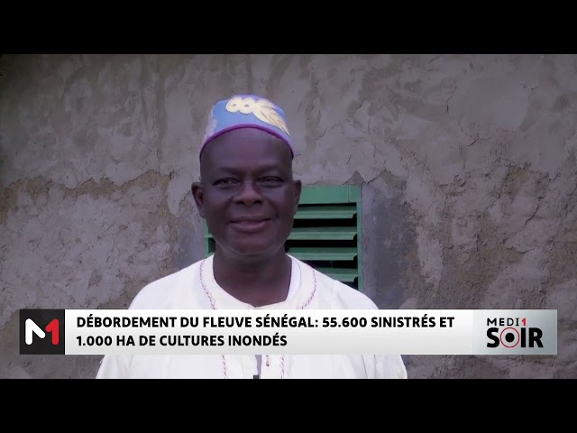 Débordement du fleuve Sénégal : 55.600 sinistrés et 1.000 ha de cultures inondés