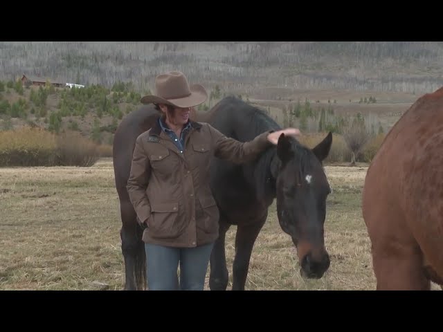 ⁣Guest ranch in Granby recalls the East Troublesome Fire