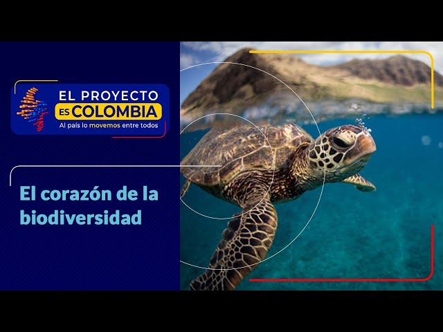 ⁣El Chocó biogeográfico, un tesoro natural que se extiende por 187.400 kilómetros cuadrados