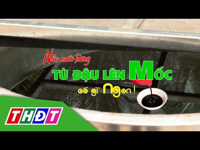 ⁣Nước tương từ đậu lên mốc có gì ngon?! | THDT