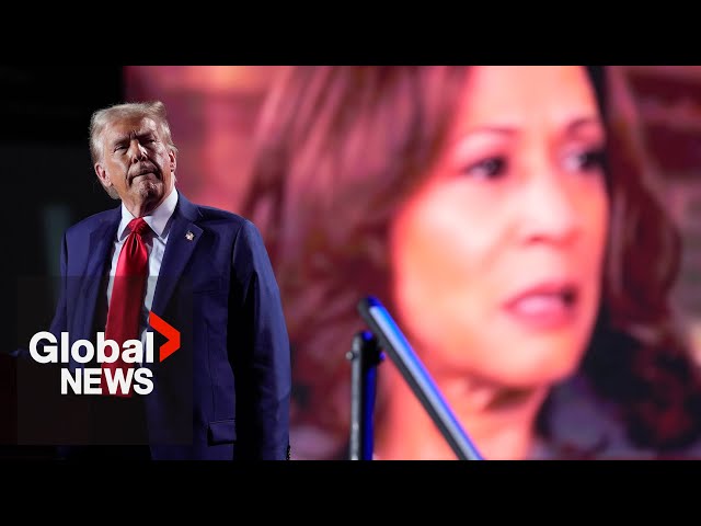 ⁣Trump, Harris campaign in battleground states as US election looms