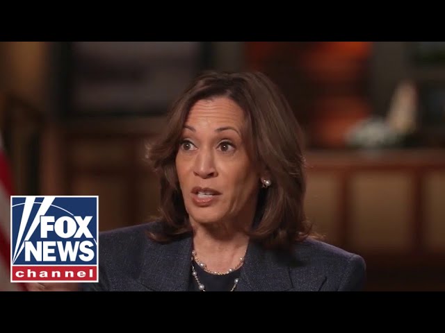 ⁣Kamala Harris claims that Trump is ‘unstable’ and ‘dangerous’ to the country