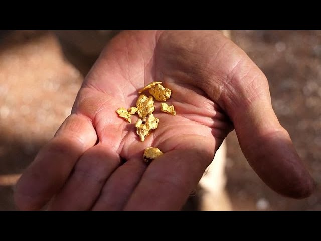 ⁣NO COMMENT| 'La fiebre del oro':  Miles de turistas acuden a Australia en busca del mejor 