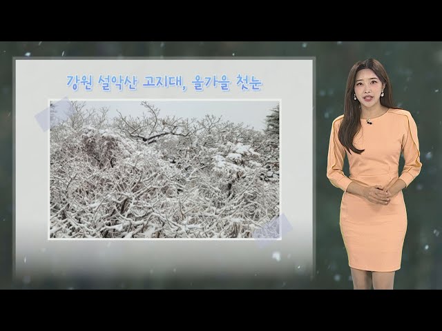 ⁣[날씨] 내일 전국 많은 양의 가을비…돌풍·벼락 동반 최대 120㎜ / 연합뉴스TV (YonhapnewsTV)