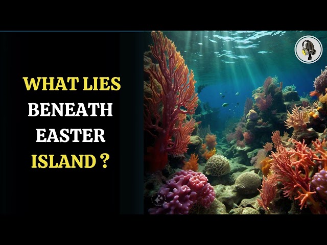 ⁣What Life Beneath Faster Island  | WION Podcast