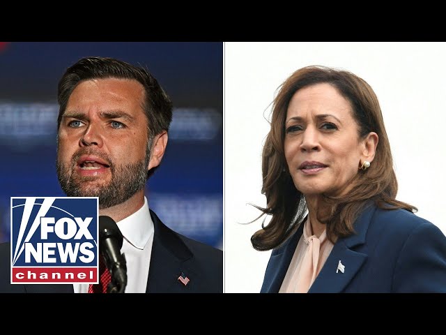 ⁣JD Vance tears into Kamala Harris over 'bizarre' response to protesters