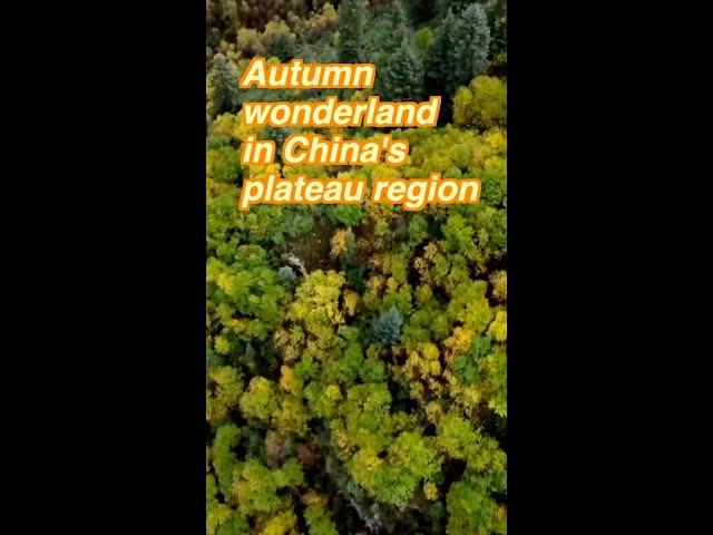 ⁣Autumn wonderland in China's plateau region