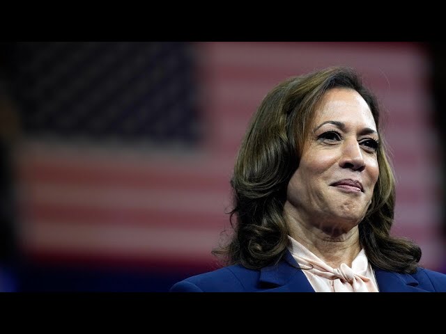 ⁣Democrats ‘not enthusiastic’ about Kamala Harris