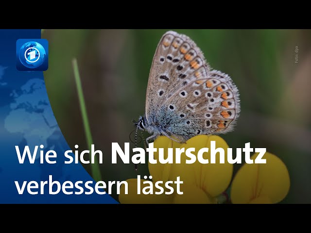 UN-Weltnaturkonferenz in Kolumbien