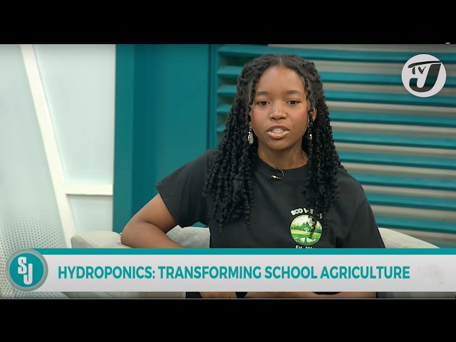 ⁣Hydroponics: Transforming School Agriculture | TVJ Smile Jamaica