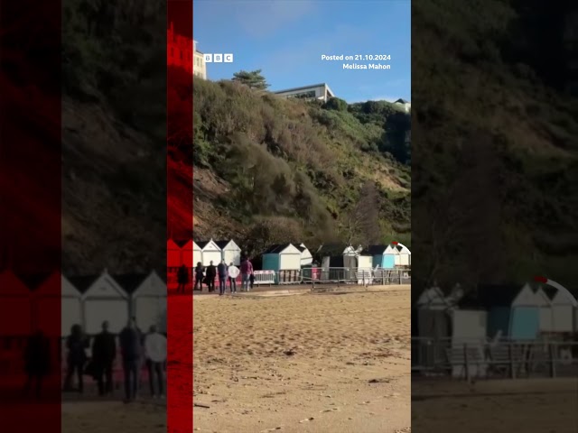 ⁣Woman and dog narrowly escape landslip on UK beach. #Landslide #UK #BBCNews