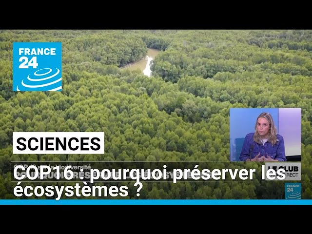 ⁣COP16 sur la biodiversité : pourquoi préserver les écosystèmes ? • FRANCE 24