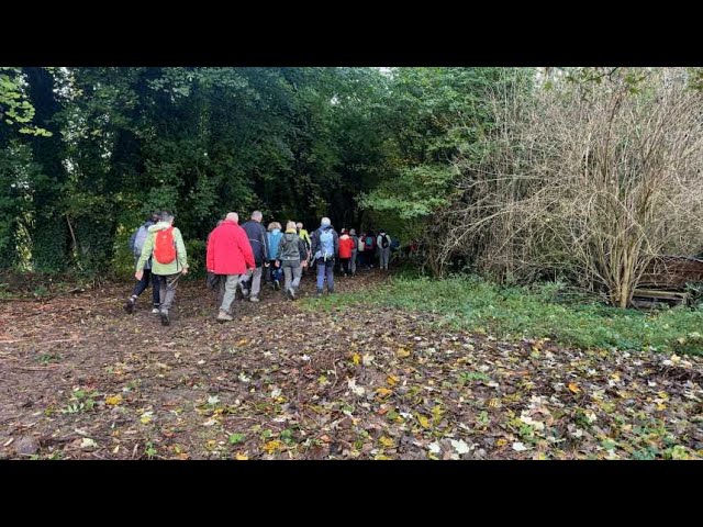 ⁣Marne : Une marche pour sensibiliser à la santé mentale