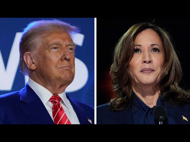 ⁣Harris and Trump pushing to win over undecided voters as election looms