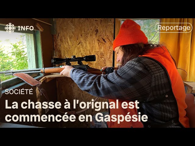 ⁣Début de la «grosse chasse» en Gaspésie