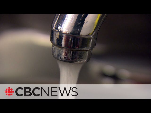 ⁣Montreal is phasing out water fluoridation. What's the risk?