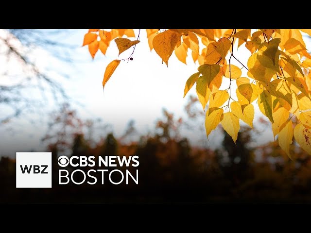 ⁣Why has it been so warm this fall? Meteorologists discuss Massachusetts' beautiful fall weather