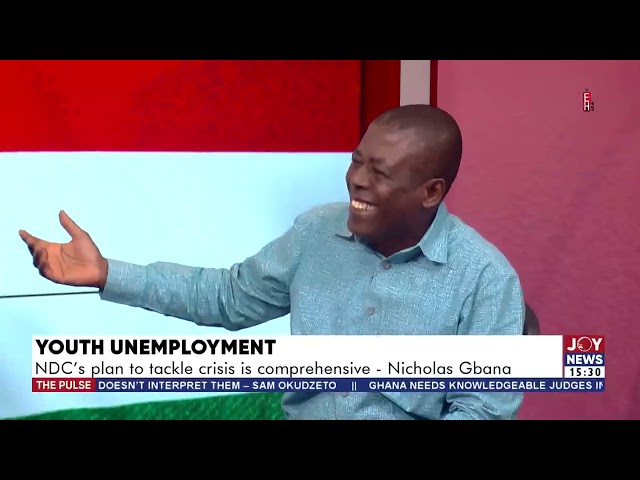 ⁣The Pulse (21-10-24) || Youth Unemployment: NDC plans to create 1.7m jobs within four years