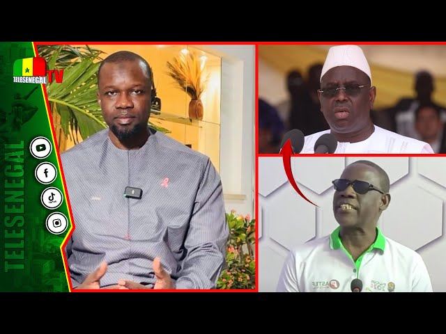 ⁣Interpellation de Macky : Birame Khoudia Lo dévoile la position de PASTEF et précise