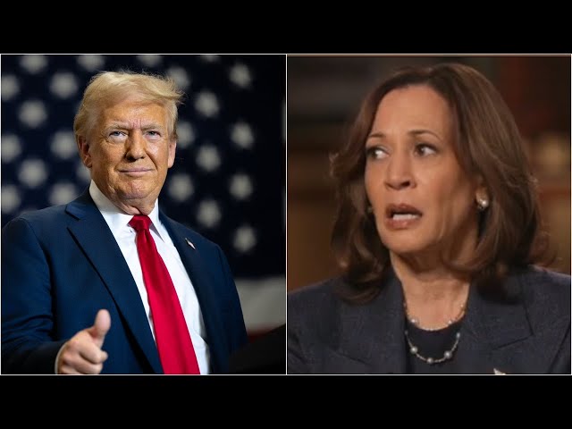 ⁣Donald Trump 'in many ways' seems 'more normal and understandable' than Kamala