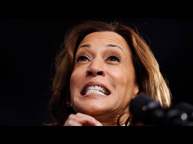 ⁣Kamala Harris seems a 'very strange person' who 'can't answer questions'