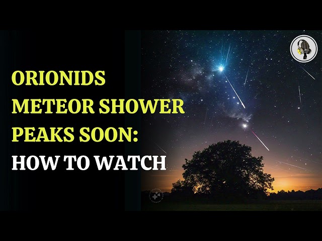 ⁣Experience the Orionid Meteor Shower: A Celestial Spectacle! WION Podcast