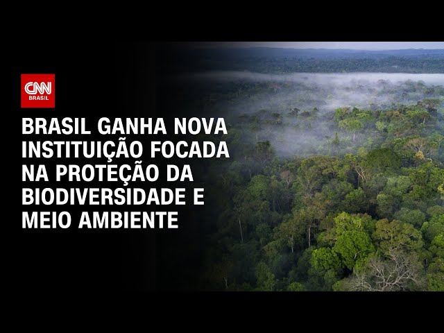 ⁣Brasil ganha nova instituição focada na proteção da biodiversidade e meio ambiente | CNN BRASIL