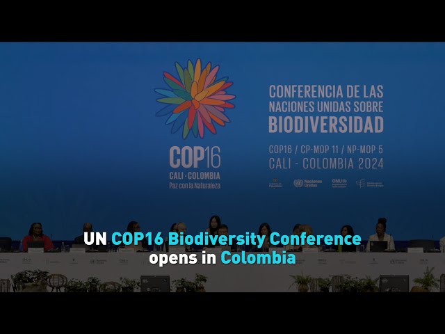 ⁣UN COP16 Biodiversity Conference opens in Colombia