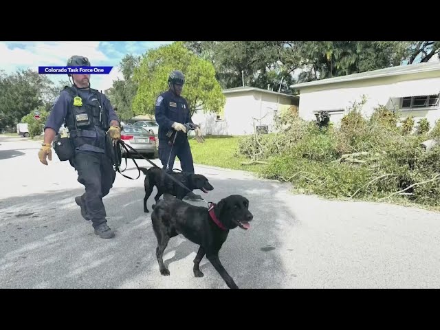 ⁣Colorado Task Force 1 returns after weeks of search and rescue efforts helping hurricane victims