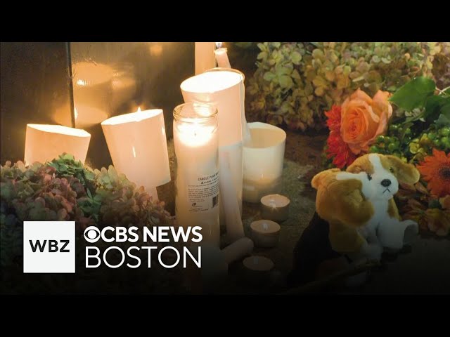 ⁣Vigil held for man killed by MBTA bus in Jamaica Plain