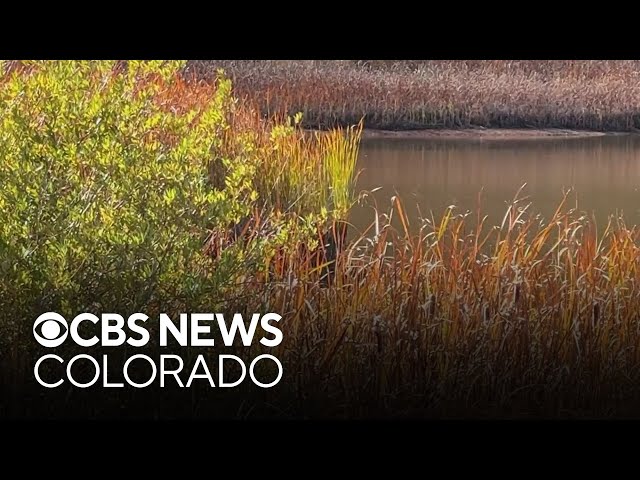 ⁣Tests show higher-than-normal radium levels in Colorado's Perry Park