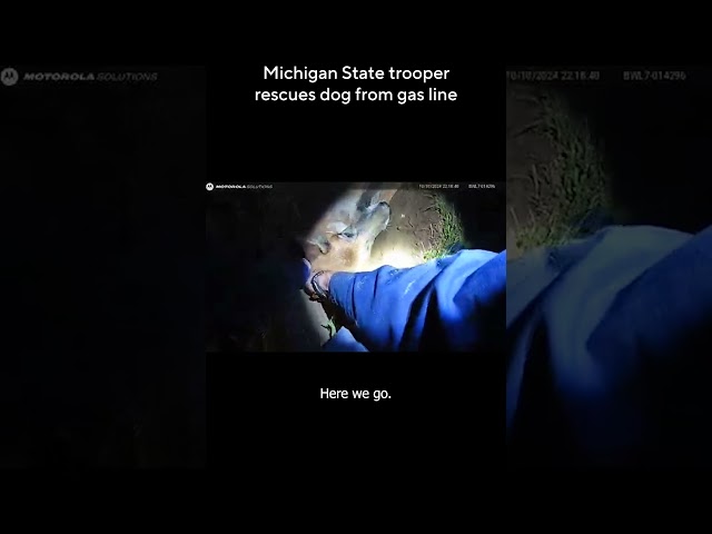 ⁣State trooper rescues dog from hole