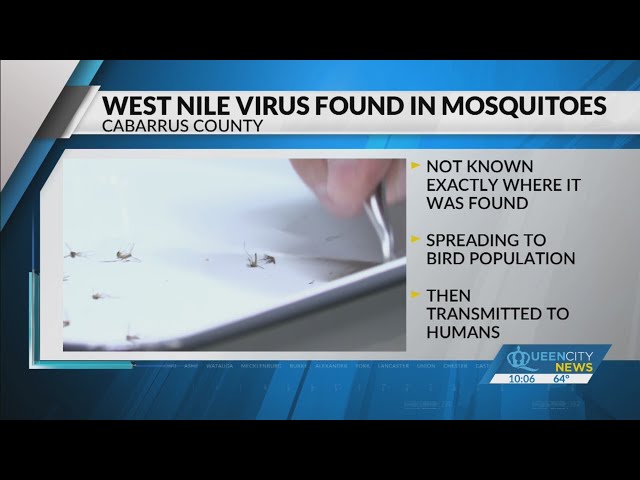 ⁣West Nile virus found in Cabarrus County