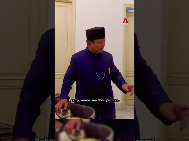 ⁣Indonesia President Prabowo moves to State Palace with his cat, Bobby