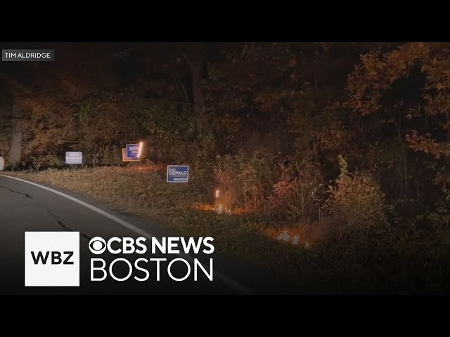 ⁣Political signs set on fire in Sterling