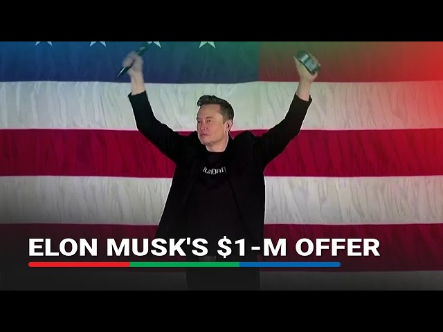 ⁣'Hard to prosecute Musk' for pushing the envelope of election law, expert says