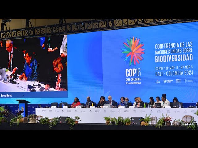 ⁣La Colombie succède à la Chine à la présidence tournante de la COP16 sur la biodiversité