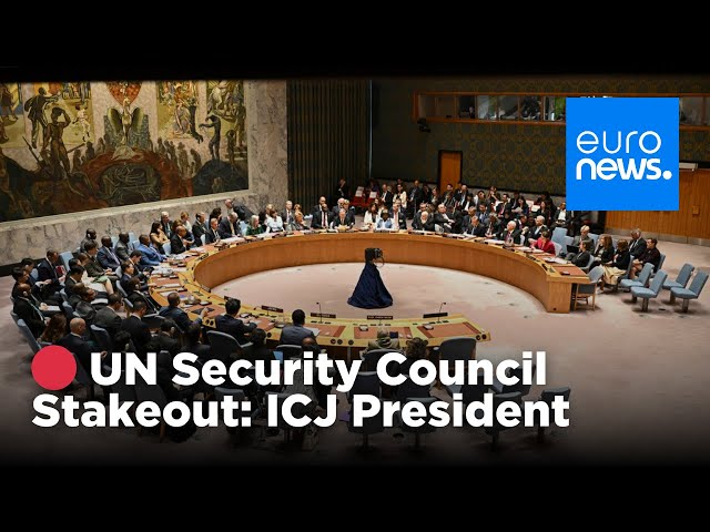 ⁣ LIVE: UN Security Council stakeout with ICJ President | euronews 