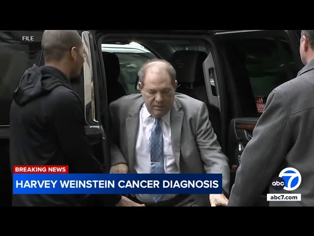 ⁣Harvey Weinstein diagnosed with form of bone marrow cancer, sources say