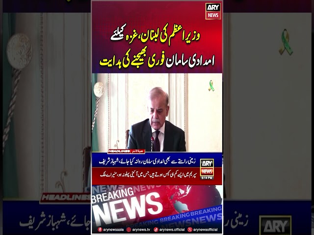 ⁣#pmshehbazsharif #cabinetmeeting #gaza #lebanon #reliefsupplies #arynews #youtubeshorts #reels