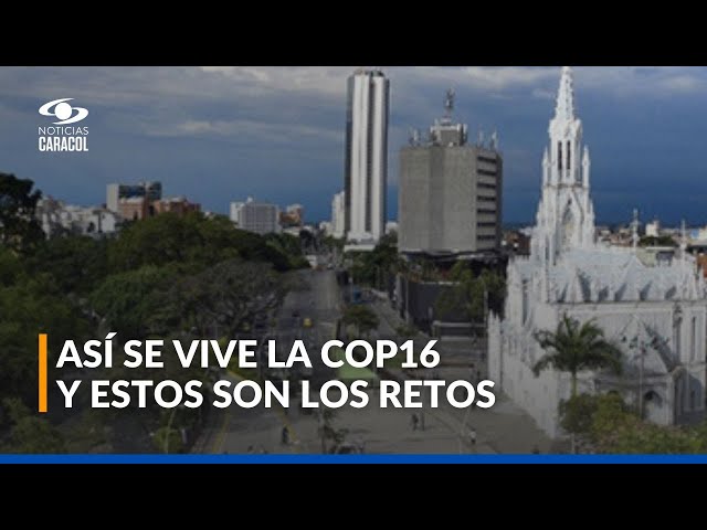 ⁣La COP16 inició y son muchos los desafíos que esta cumbre plantea para Colombia