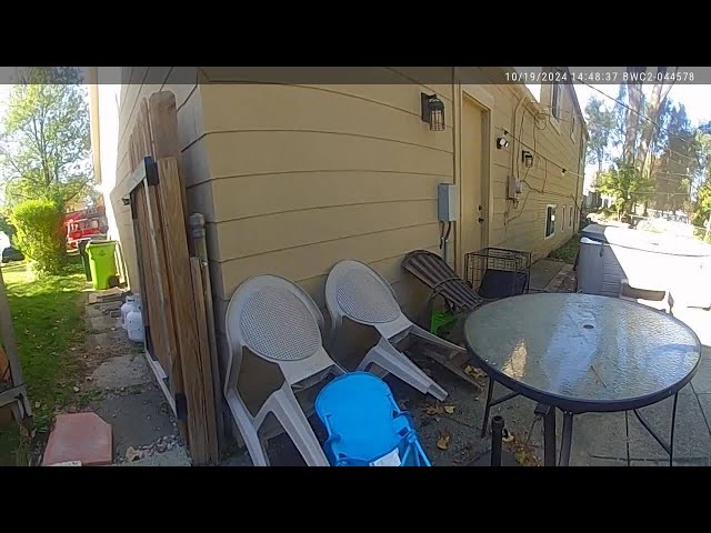 ⁣Bodycam video shows Sterling Heights police save man, dogs from house fire