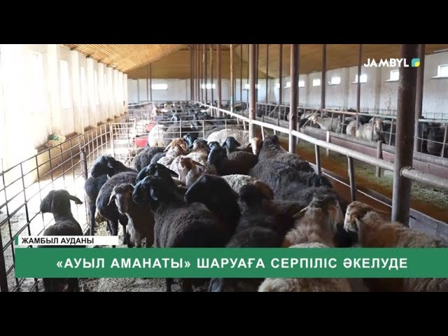 ⁣«Ауыл аманаты» шаруаға серпіліс әкелуде