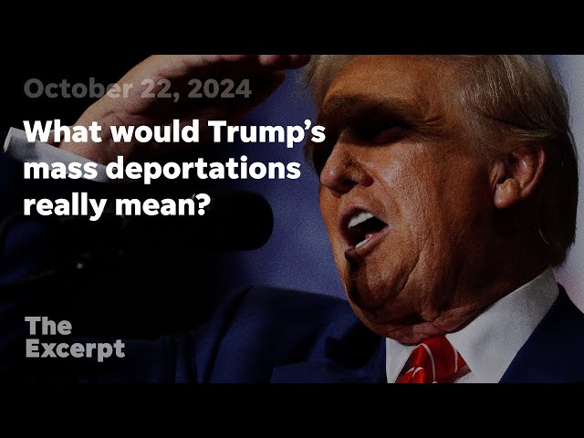 ⁣What would Trump’s mass deportations really mean? | The Excerpt