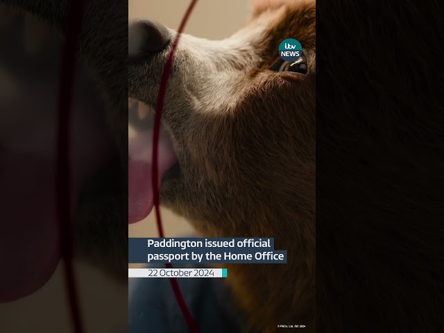 ⁣Paddington issued official passport by the Home Office #itvnews #news