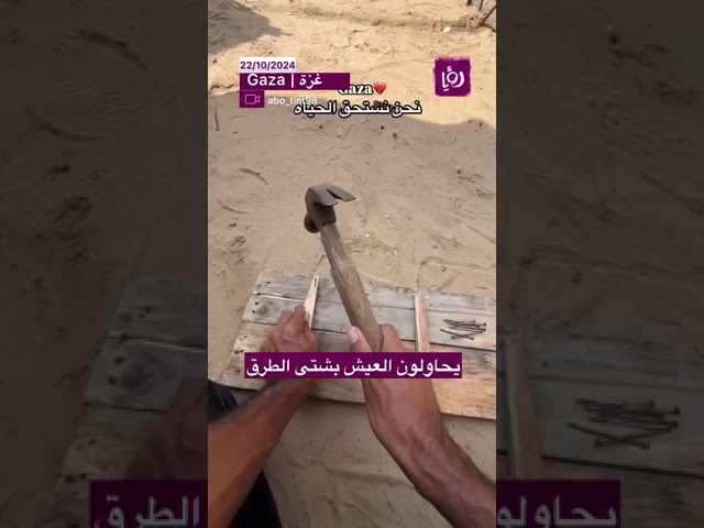 ⁣يحاولون العيش بشتى الطرق!