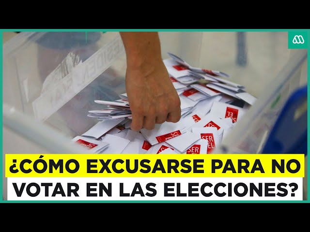 Elecciones Municipales 2024: ¿Cómo excusarse para no votar?