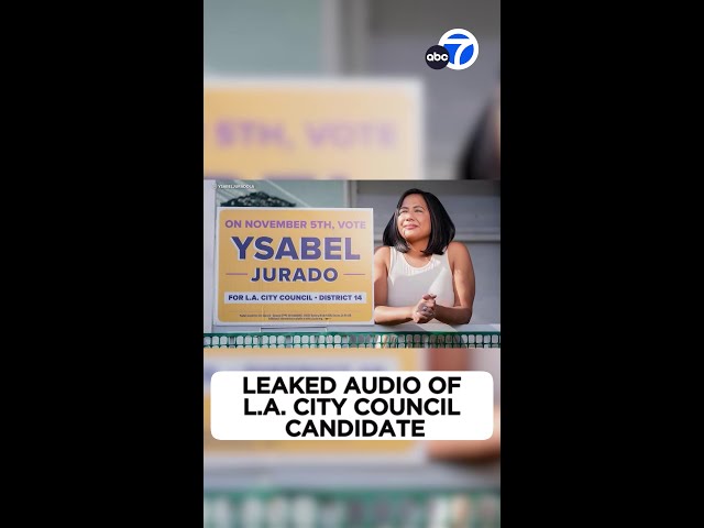 ⁣LA City Council candidate says 'F- the police' in leaked audio